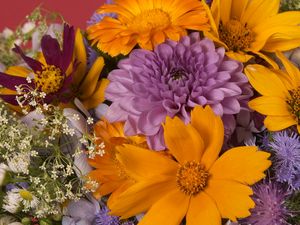 Preview wallpaper dahlias, daisies, flowers, bouquet, bright, close-up