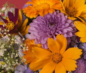 Preview wallpaper dahlias, daisies, flowers, bouquet, bright, close-up