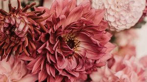Preview wallpaper dahlias, flowers, bouquet, pink