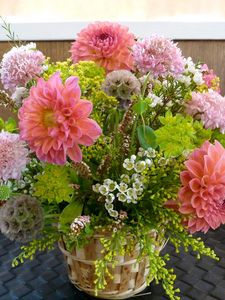 Preview wallpaper dahlias, flowers, bouquets, composition, beautifully