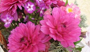 Preview wallpaper dahlias, flowers, different, basket