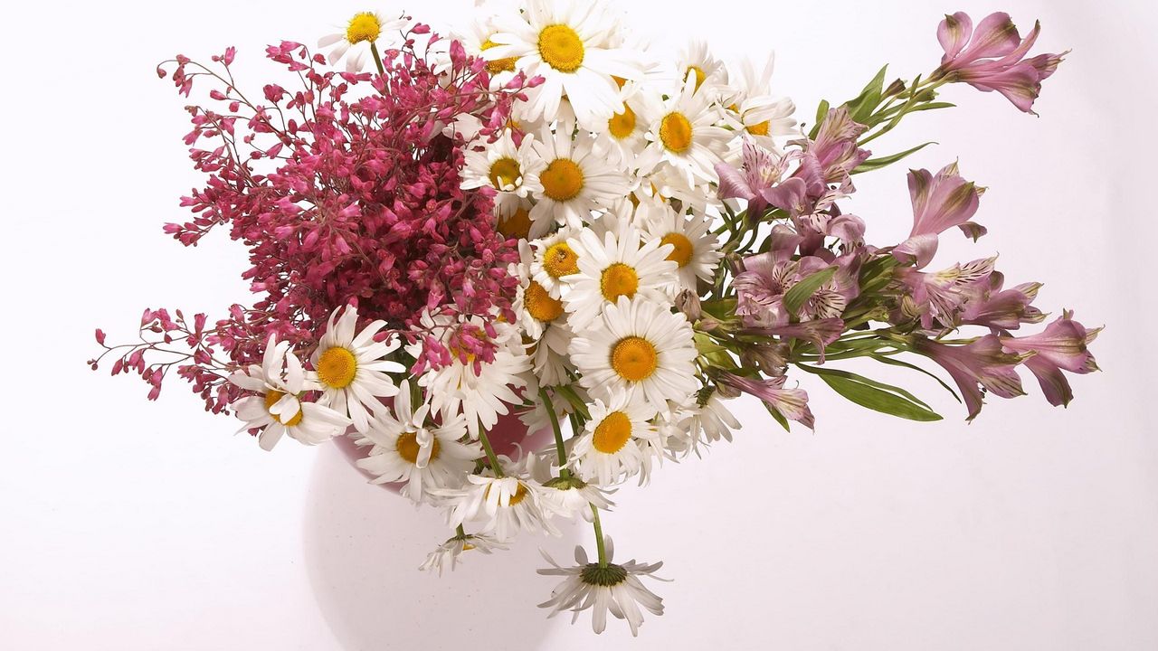 Wallpaper daisies, alstroemeria, flowers, bouquet, vase, composition