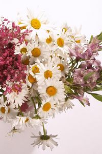 Preview wallpaper daisies, alstroemeria, flowers, bouquet, vase, composition