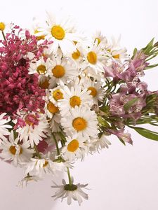 Preview wallpaper daisies, alstroemeria, flowers, bouquet, vase, composition