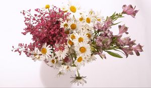 Preview wallpaper daisies, alstroemeria, flowers, bouquet, vase, composition