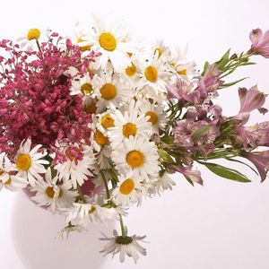 Preview wallpaper daisies, alstroemeria, flowers, bouquet, vase, composition