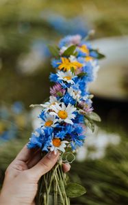 Preview wallpaper daisies, cornflower, hand, flowers, weaving