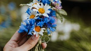 Preview wallpaper daisies, cornflower, hand, flowers, weaving