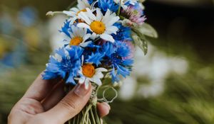 Preview wallpaper daisies, cornflower, hand, flowers, weaving