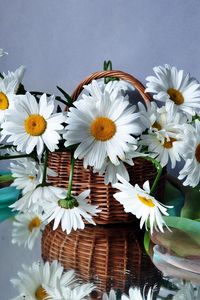 Preview wallpaper daisies, flowers, basket, drops, scarf, reflection