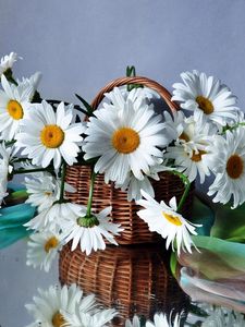 Preview wallpaper daisies, flowers, basket, drops, scarf, reflection