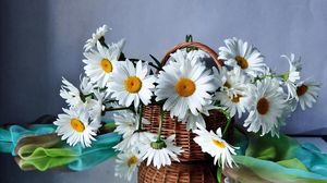 Preview wallpaper daisies, flowers, basket, drops, scarf, reflection