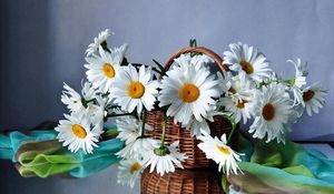 Preview wallpaper daisies, flowers, basket, drops, scarf, reflection