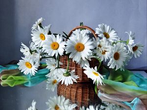 Preview wallpaper daisies, flowers, basket, drops, scarf, reflection