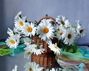 Preview wallpaper daisies, flowers, basket, drops, scarf, reflection