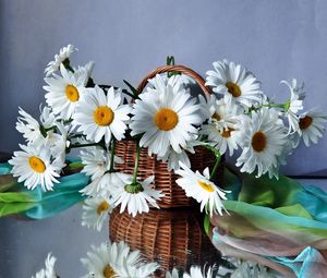 Preview wallpaper daisies, flowers, basket, drops, scarf, reflection