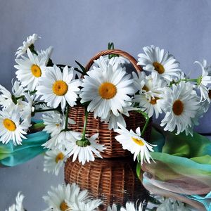 Preview wallpaper daisies, flowers, basket, drops, scarf, reflection