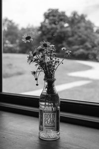 Preview wallpaper daisies, flowers, bouquet, window, bw