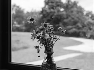 Preview wallpaper daisies, flowers, bouquet, window, bw