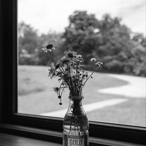 Preview wallpaper daisies, flowers, bouquet, window, bw