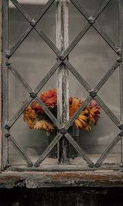 Preview wallpaper daisies, flowers, bouquet, window, lattice