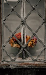 Preview wallpaper daisies, flowers, bouquet, window, lattice