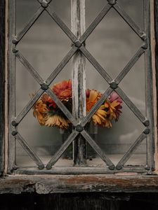 Preview wallpaper daisies, flowers, bouquet, window, lattice