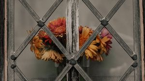 Preview wallpaper daisies, flowers, bouquet, window, lattice