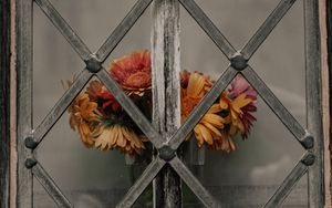 Preview wallpaper daisies, flowers, bouquet, window, lattice