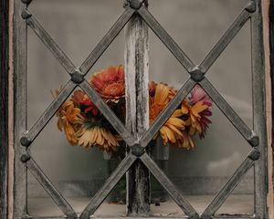 Preview wallpaper daisies, flowers, bouquet, window, lattice