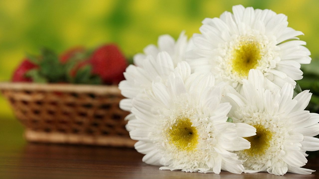 Wallpaper daisies, flowers, bouquet, table, basket