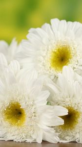 Preview wallpaper daisies, flowers, bouquet, table, basket