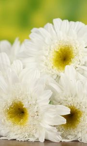 Preview wallpaper daisies, flowers, bouquet, table, basket