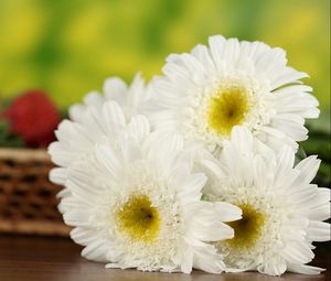 Preview wallpaper daisies, flowers, bouquet, table, basket