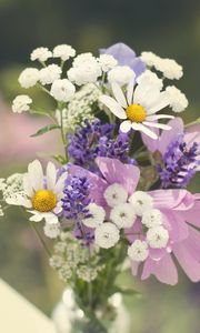 Preview wallpaper daisies, flowers, bouquet, field, sharpness