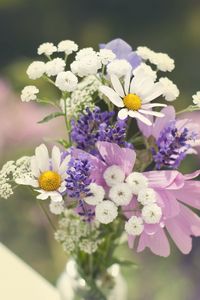 Preview wallpaper daisies, flowers, bouquet, field, sharpness