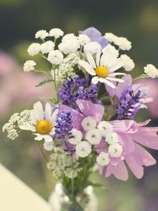 Preview wallpaper daisies, flowers, bouquet, field, sharpness