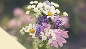 Preview wallpaper daisies, flowers, bouquet, field, sharpness