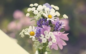 Preview wallpaper daisies, flowers, bouquet, field, sharpness