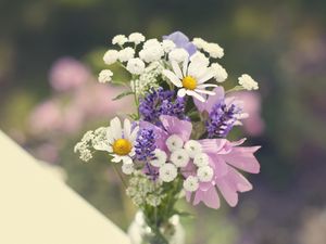 Preview wallpaper daisies, flowers, bouquet, field, sharpness