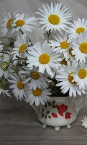 Preview wallpaper daisies, flowers, bouquet, white, vase