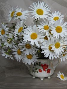 Preview wallpaper daisies, flowers, bouquet, white, vase