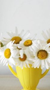 Preview wallpaper daisies, flowers, bouquet, cups, colorful