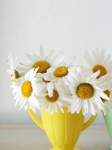 Preview wallpaper daisies, flowers, bouquet, cups, colorful