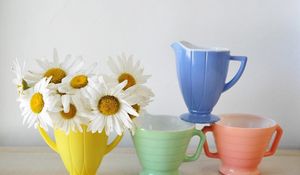 Preview wallpaper daisies, flowers, bouquet, cups, colorful