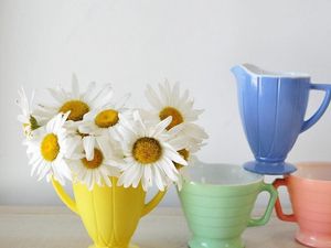 Preview wallpaper daisies, flowers, bouquet, cups, colorful