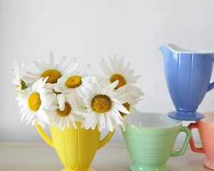 Preview wallpaper daisies, flowers, bouquet, cups, colorful