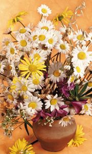 Preview wallpaper daisies, flowers, field, ears, bouquet, pitcher