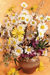 Preview wallpaper daisies, flowers, field, ears, bouquet, pitcher