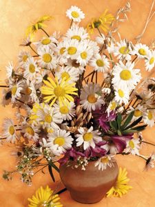 Preview wallpaper daisies, flowers, field, ears, bouquet, pitcher